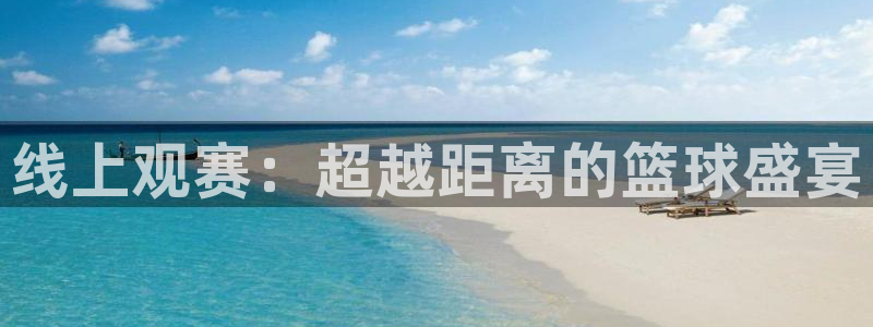 球友直播app下载安装：线上观赛：超越距离的篮球盛宴