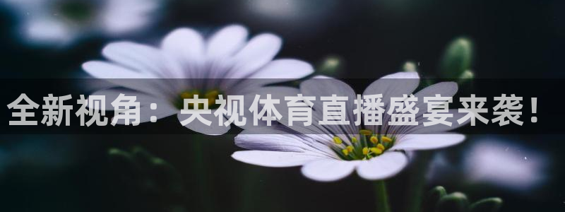 球友直播直播入口在哪：全新视角：央视体育直播盛宴来袭！