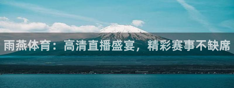 球友直播app官方下载：雨燕体育：高清直播盛宴，精彩赛事不缺席
