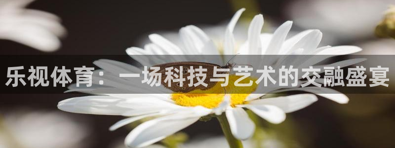 球友直播网：乐视体育：一场科技与艺术的交融盛宴