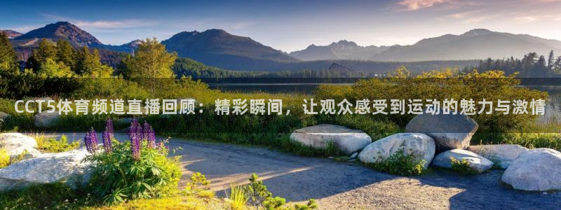 nba直播球友直播：CCT5体育频道直播回顾：精彩瞬间，让观众感受到运动的魅力与激情