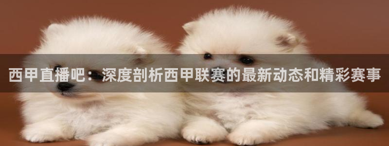 nba球友直播：西甲直播吧：深度剖析西甲联赛的最新动态和精彩赛事