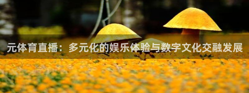 球友直播无插件：元体育直播：多元化的娱乐体验与数字文化交融发展