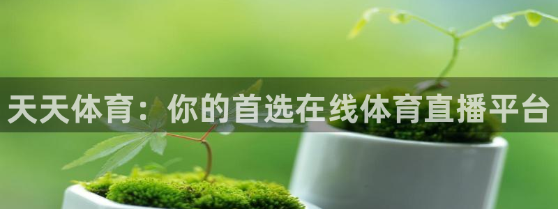 球友直播在线：天天体育：你的首选在线体育直播平台