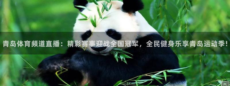 球友直播在线直播：青岛体育频道直播：精彩赛事迎战全国冠军，全民健身乐享青岛运动季!