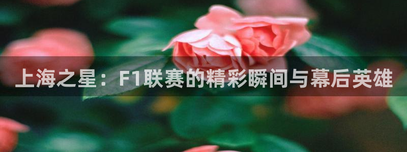 球友直播足球：上海之星：F1联赛的精彩瞬间与幕后英雄